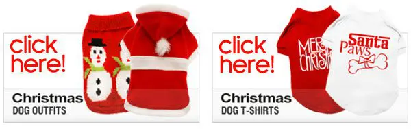 xmas dog clothes